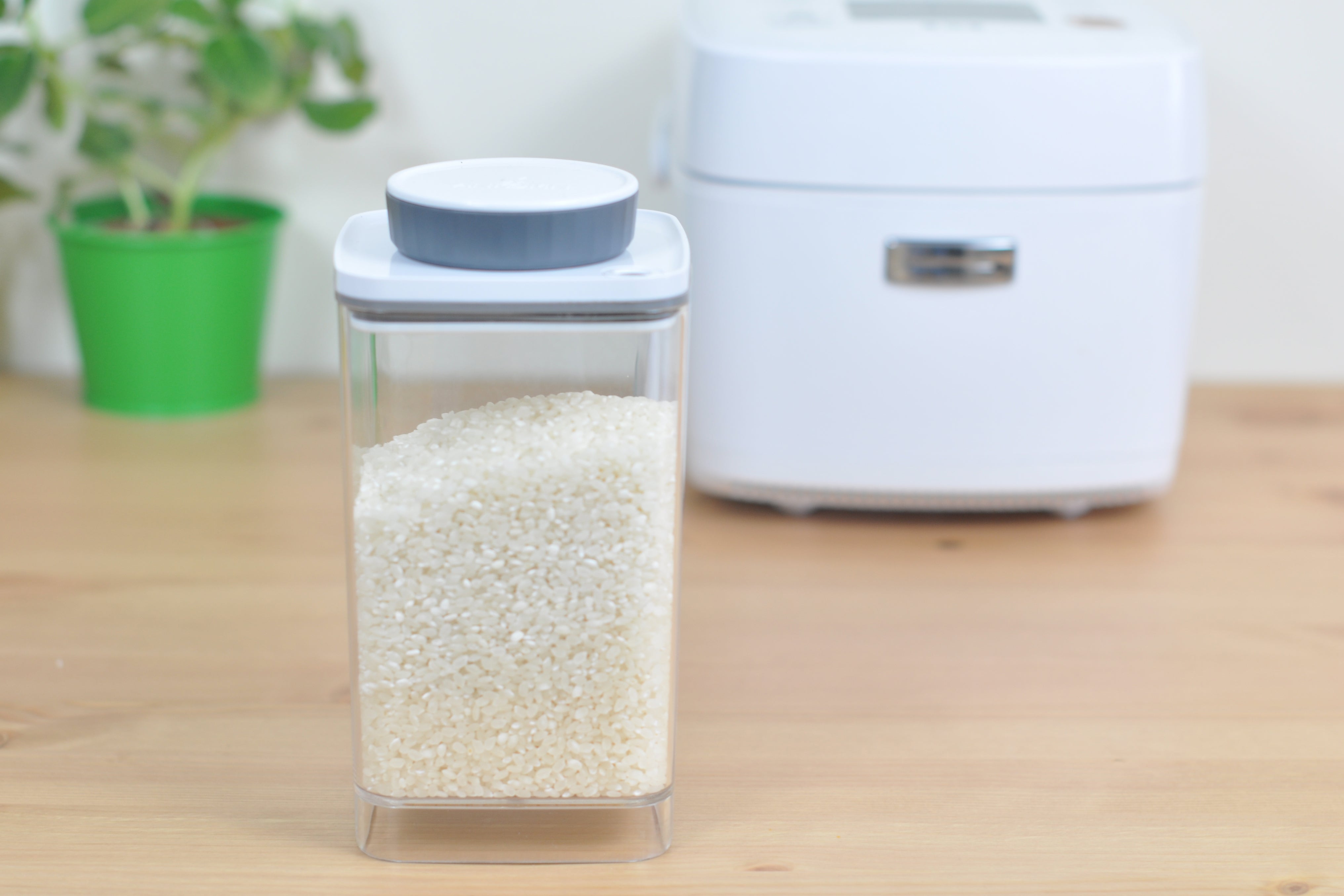 清貨優惠|全港免運|ANKOMN - 台灣製真空盒 Turn-N-Seal 旋轉真空氣密保鮮罐 (品牌授權經銷商)|真空罐|咖啡豆儲存罐