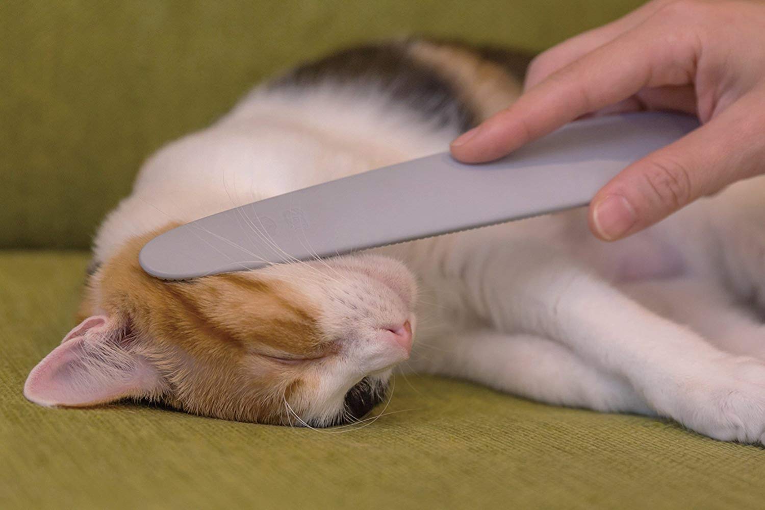 (預訂|全港免運) Wataoka 日本製 貓咪按摩神器 仿貓舌按摩梳 貓梳【約10-15個工作日內寄出】 - Premium Mall HK