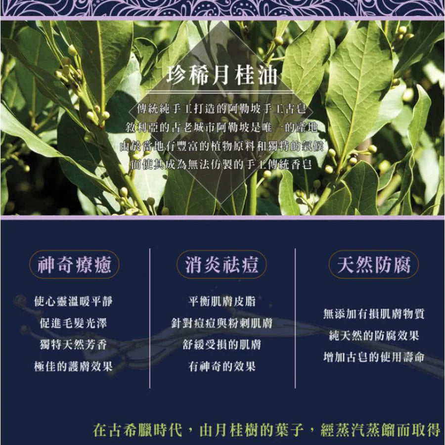 香港現貨｜全港免運｜NAJEL - 30%月桂油+70%橄欖油 阿勒頗天然手工古皂【法國品牌 香港行貨】油性、暗瘡肌膚適用 Aleppo Soap