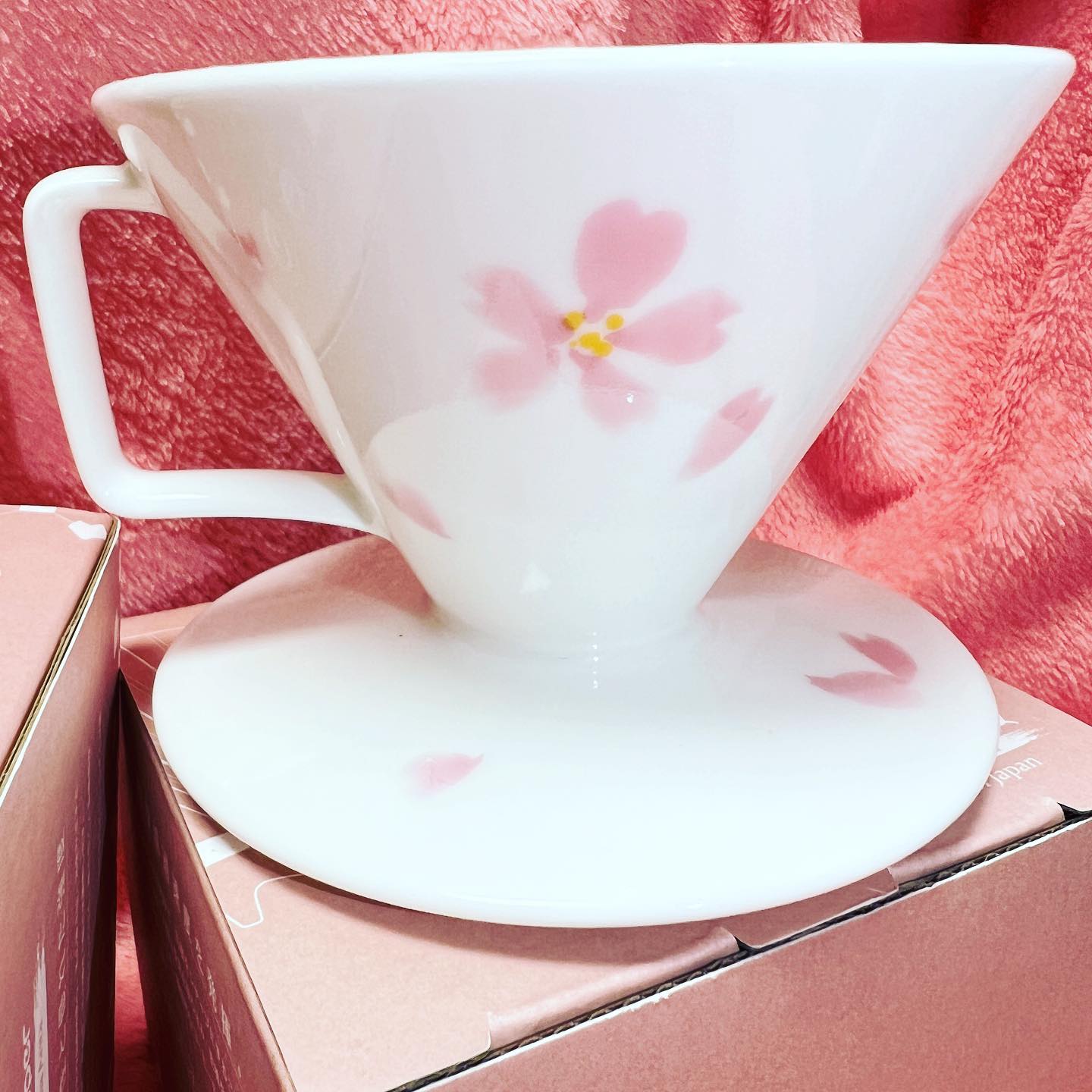 現貨｜全港免運｜珈堂KADOU - 星芒濾杯 骨瓷版 (櫻花限定款) M1 Dripper 手沖咖啡陶瓷濾杯 (1-2杯)